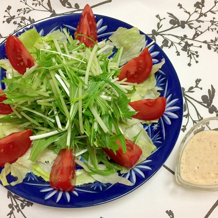 水菜レタストマト生野菜サラダ ごまドレマヨサラダ♪